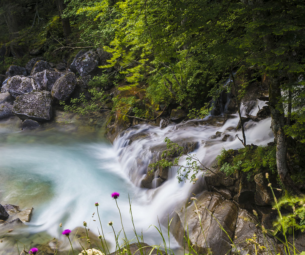 Les Pyrénées