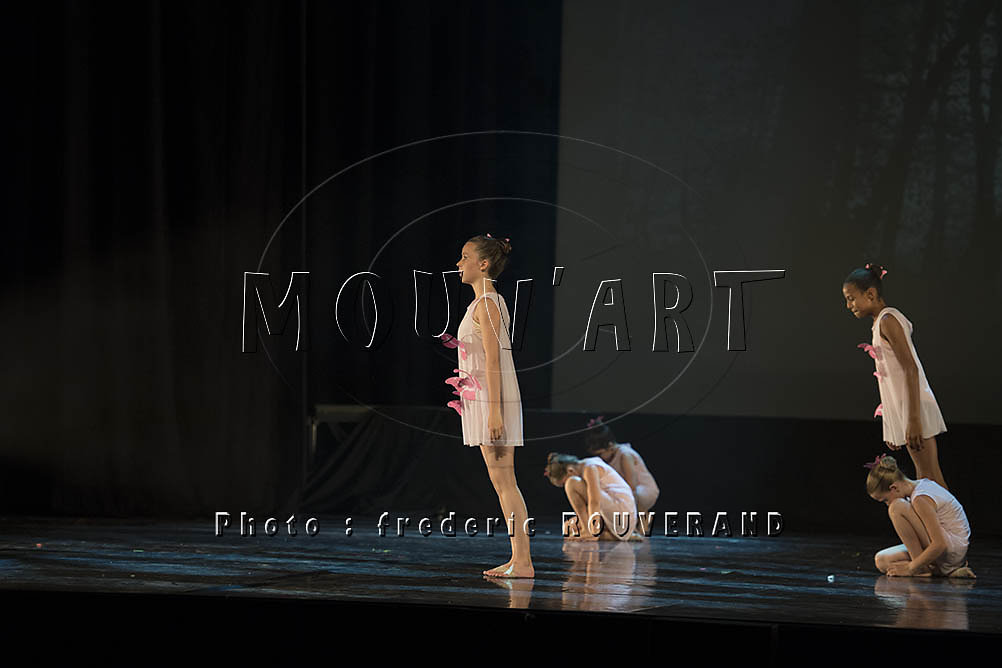 MOUV-3247.jpg
