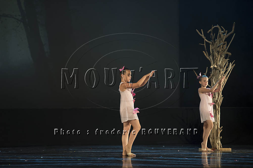 MOUV-3301.jpg