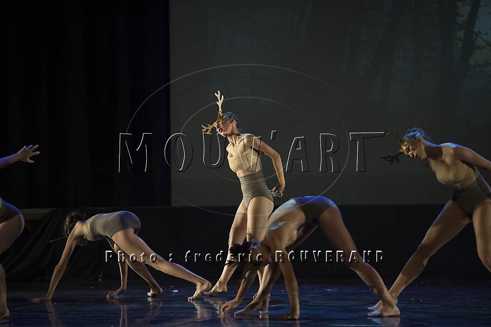 MOUV-4360.jpg